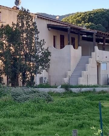 Apartamento U Palmu Sagone  Exterior foto