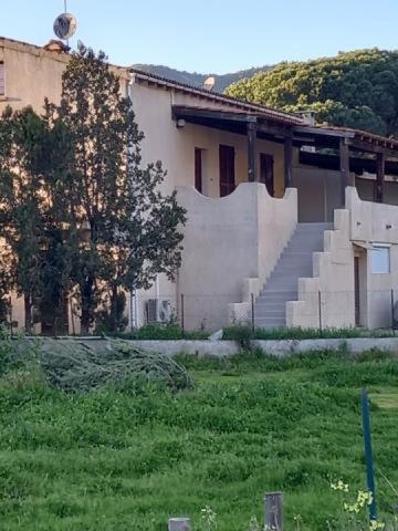 Apartamento U Palmu Sagone  Exterior foto